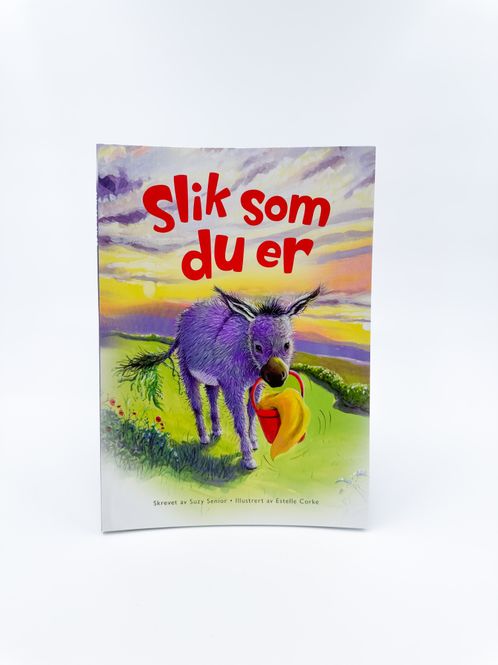 Hovedbilde Bok Slik som du er